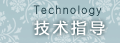 ָ