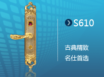 S610()רָ
