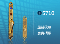 ʥǸS710Ժռ𣬹